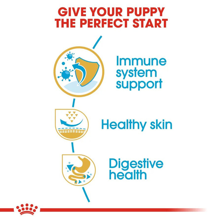 Royal Canin Pug Puppy Dry Dog Food - 500g