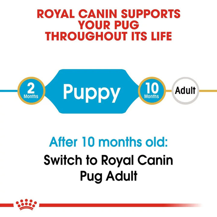 Royal Canin Pug Puppy Dry Dog Food - 500g