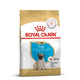 Royal Canin Pug Puppy Dry Dog Food