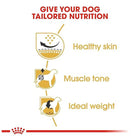 Royal Canin Pug Adult Dry Dog Food