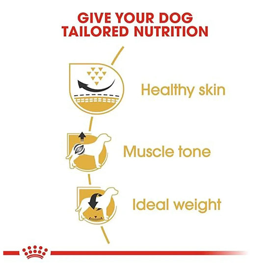Royal Canin Pug Adult Dry Dog Food