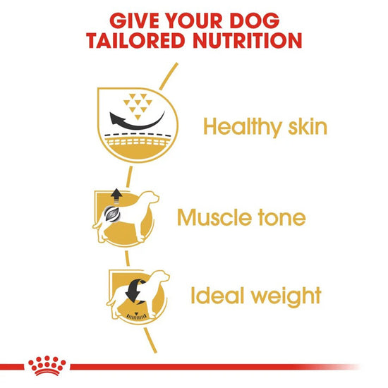 royal-canin-pug-adult-dry-dog-food