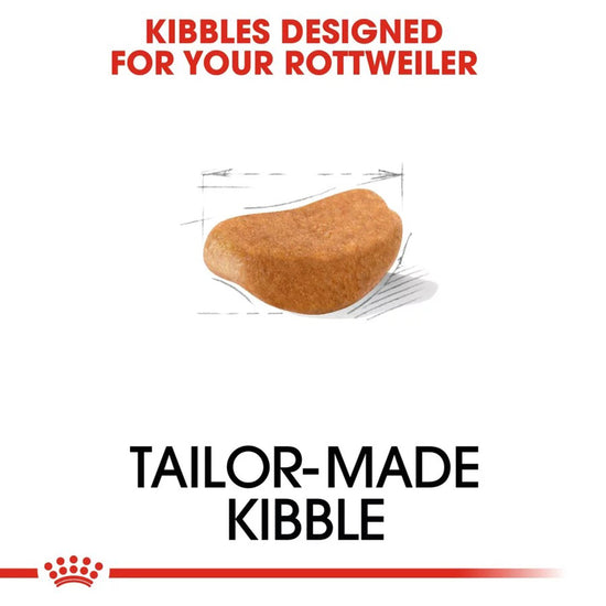 royal-canin-rottweiler-adult-dry-dog-food