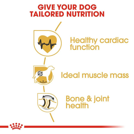 royal-canin-rottweiler-adult-dry-dog-food