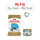 Royal Canin Shih Tzu Puppy Dry Dog Food