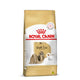 Royal Canin Shih Tzu Adult Dry Dog Food