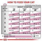 Royal Canin Veterinary Diet Renal Tuna Wet Cat Food - 85 gm