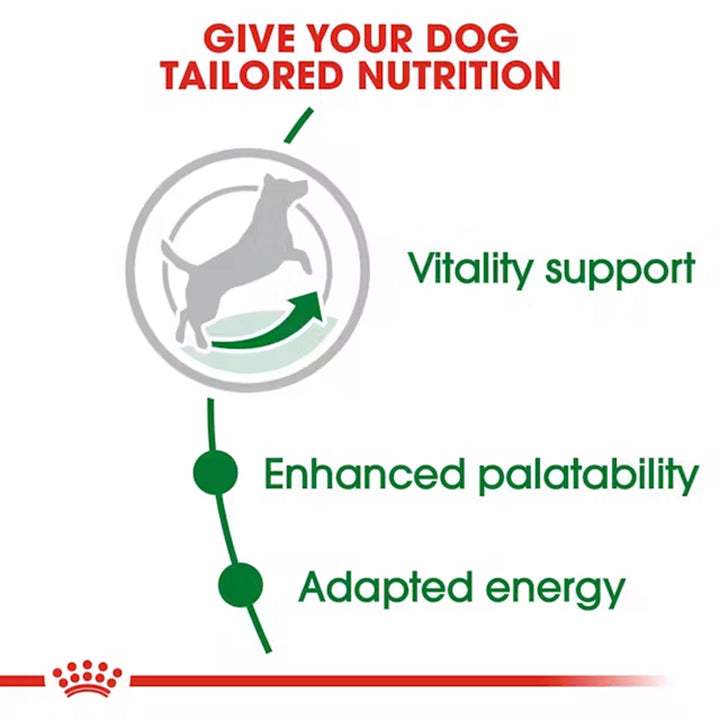 Royal Canin Mini Adult 8+ Years Dry Dog Food - 4kg