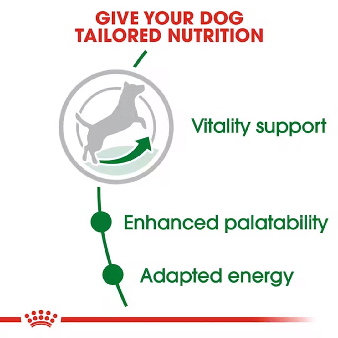 Royal Canin Mini Adult 8+ Years Dry Dog Food - 4kg