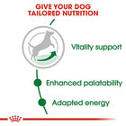 Royal Canin Mini Adult 8+ Years Dry Dog Food - 4kg - Zigly