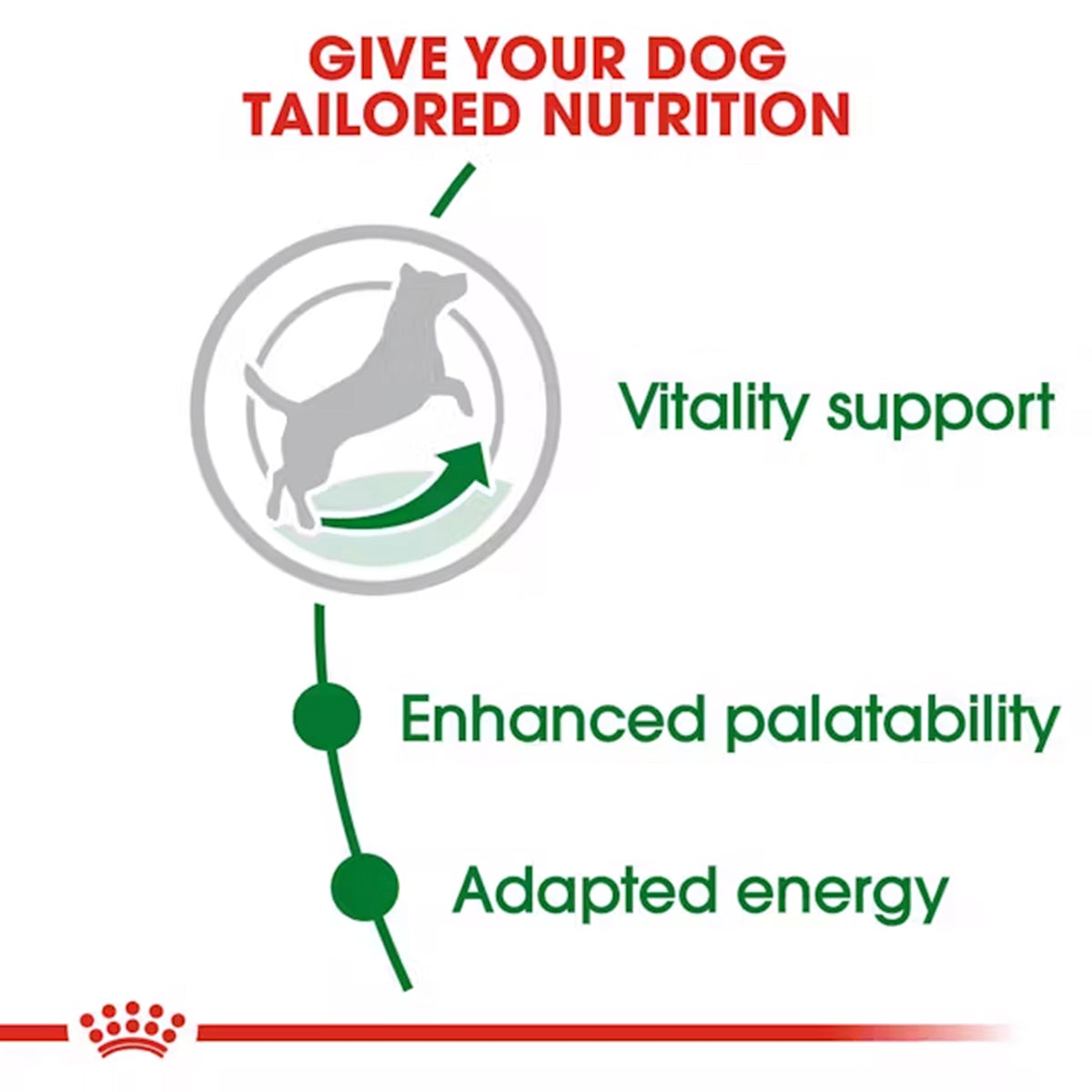 Royal Canin Mini Adult 8+ Years Dry Dog Food - 4kg