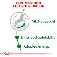 Royal Canin Mini Adult 8+ Years Dry Dog Food - 4kg
