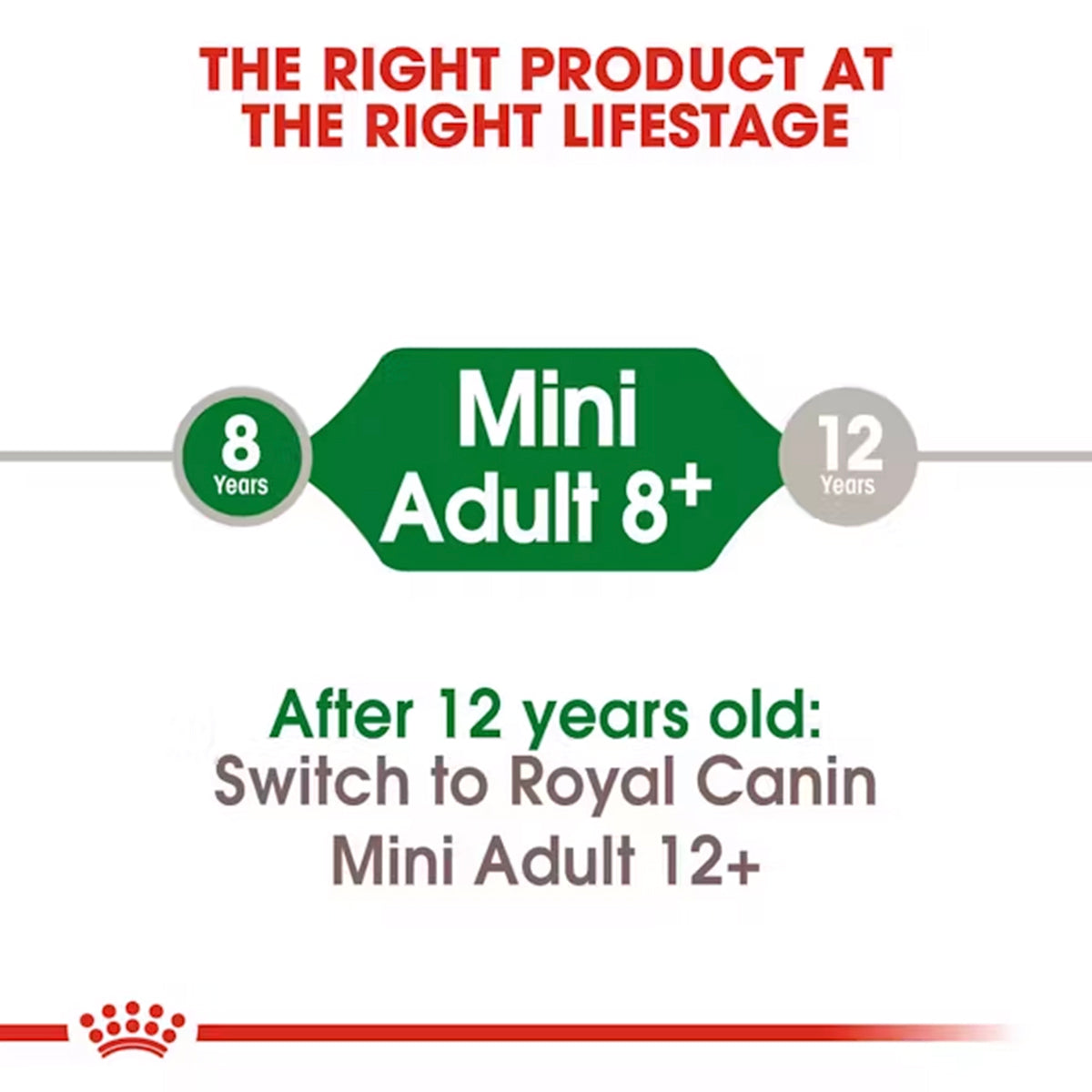 Royal Canin Mini Adult 8+ Years Dry Dog Food - 4kg