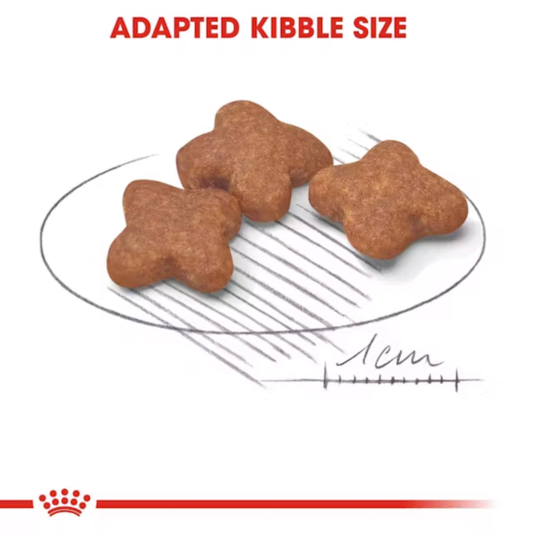 Royal Canin Mini Adult 8+ Years Dry Dog Food - 4kg