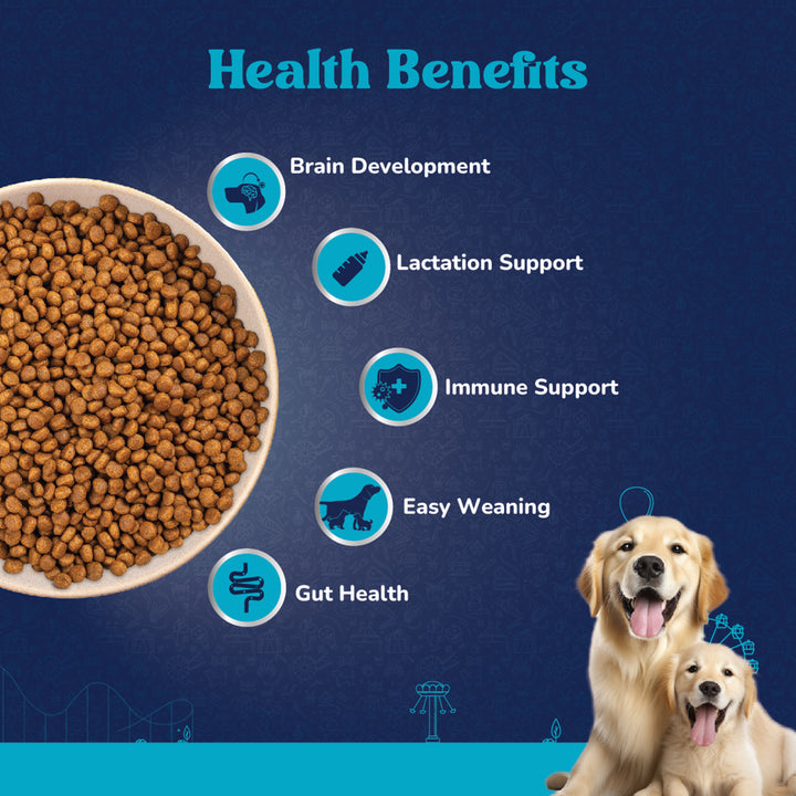 Carniwel Fresh Chicken Dry Dog Food for Large Breed, Starter