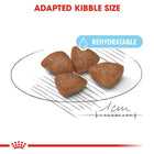 Royal Canin Mini Starter Dry Dog Food - Zigly