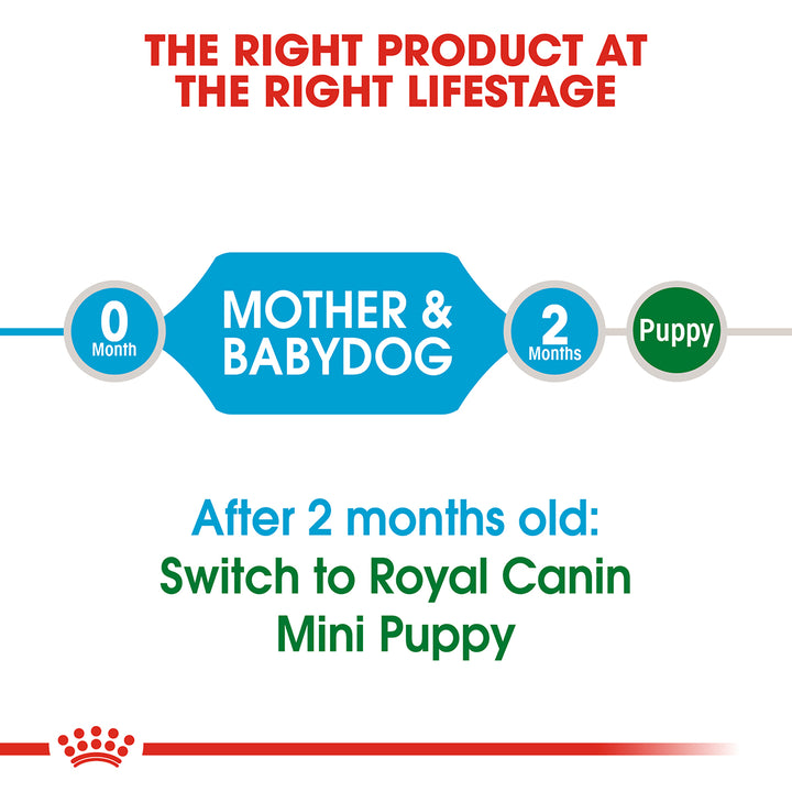 Royal Canin Mini Starter Dry Dog Food