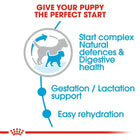 Royal Canin Mini Starter Dry Dog Food - Zigly