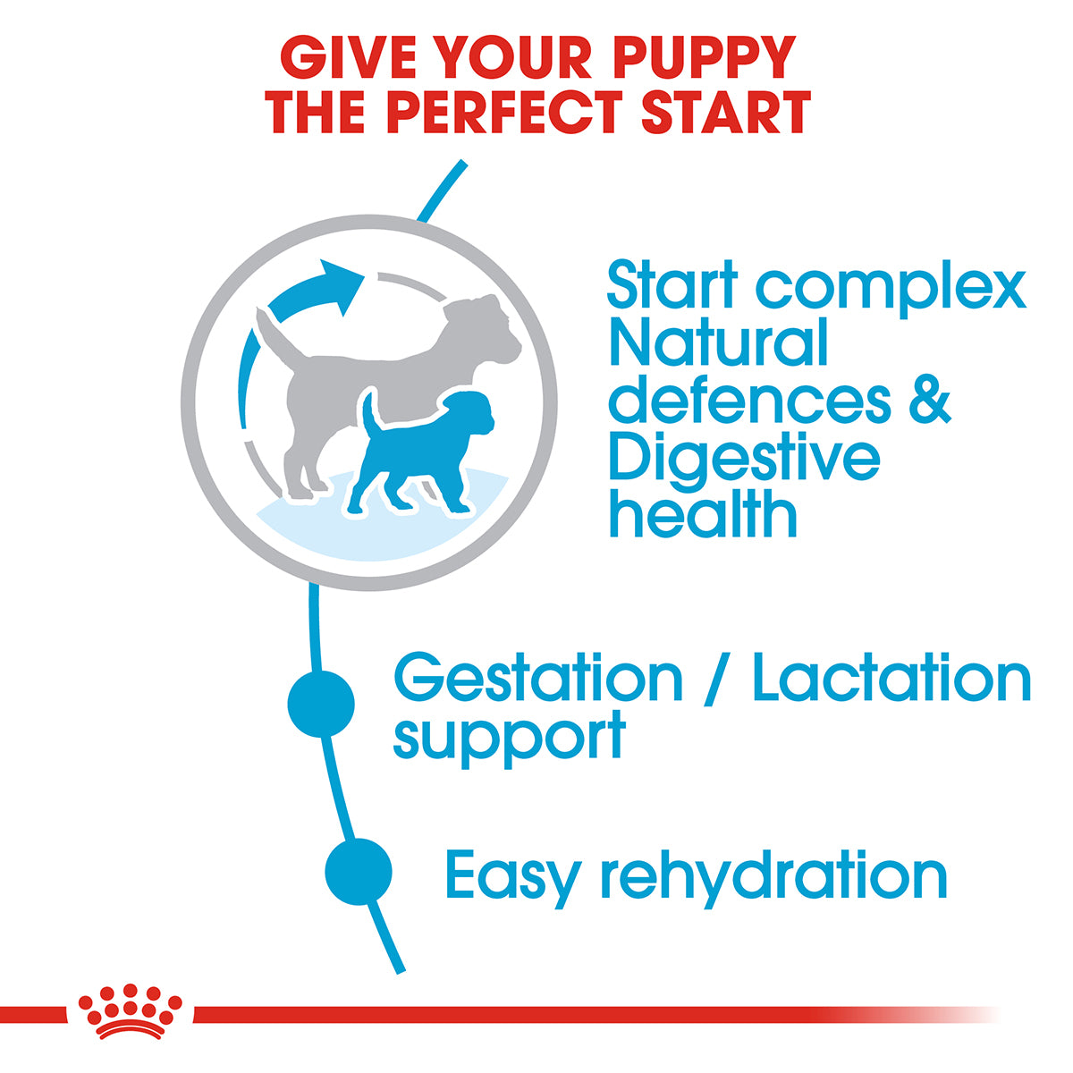 Royal Canin Mini Starter Dry Dog Food
