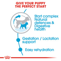 Royal Canin Mini Starter Dry Dog Food