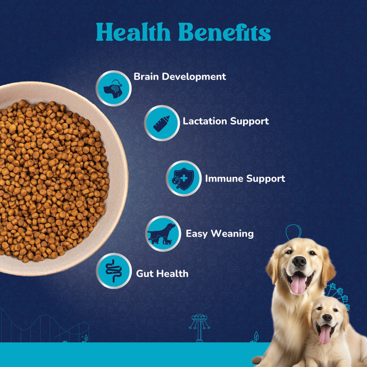 Carniwel Veg with Superfoods Dry Dog Food for Large Breed, Starter