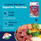 Carniwel Fresh Lamb Dry Dog Food for Small Breed, Starter - Zigly