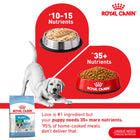 Royal Canin Mini Puppy Dry Dog Food