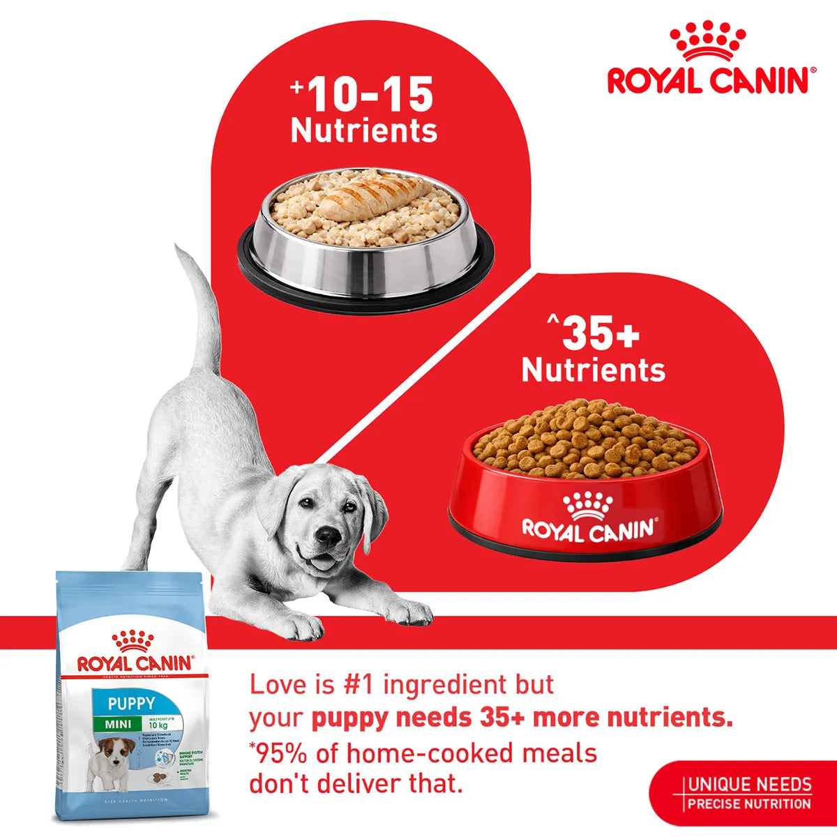 Royal Canin Mini Puppy Dry Dog Food