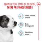 Royal Canin Mini Puppy Dry Dog Food