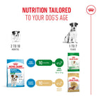 Royal Canin Mini Puppy Dry Dog Food