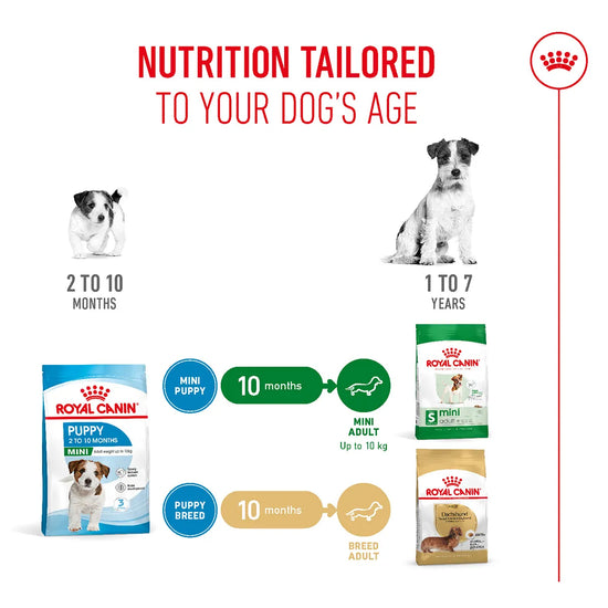 Royal Canin Mini Puppy Dry Dog Food