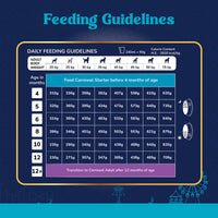 Carniwel Fresh Lamb Dry Dog Food for Large Breed, Puppy