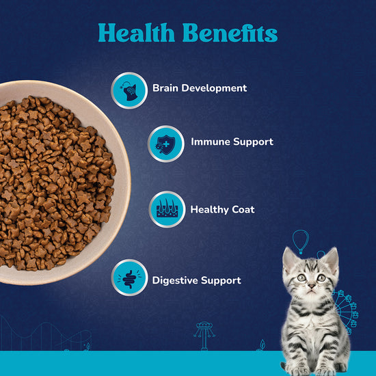 carniwel-fresh-fish-shrimp-dry-cat-food-kitten