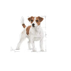 Royal Canin Mini Adult Dry Dog Food - Zigly