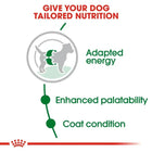 Royal Canin Mini Adult Dry Dog Food - Zigly