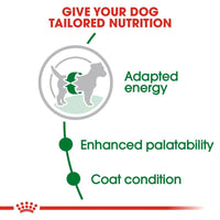 Royal Canin Mini Adult Dry Dog Food