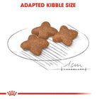 Royal Canin Mini Adult Dry Dog Food - Zigly