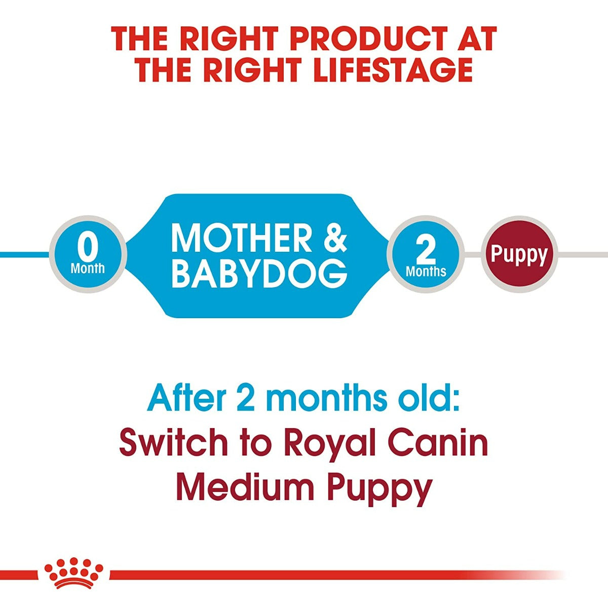 Royal Canin Medium Starter Dry Dog Food - 1kg