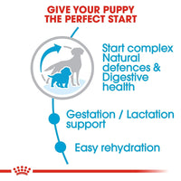 Royal Canin Medium Starter Dry Dog Food - 1kg