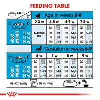 Royal Canin Medium Starter Dry Dog Food - 1kg