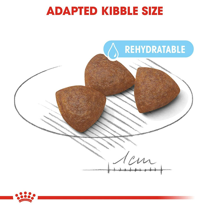 Royal Canin Medium Starter Dry Dog Food - 1kg
