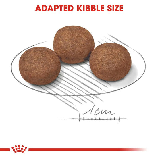 royal-canin-medium-puppy-dry-dog-food