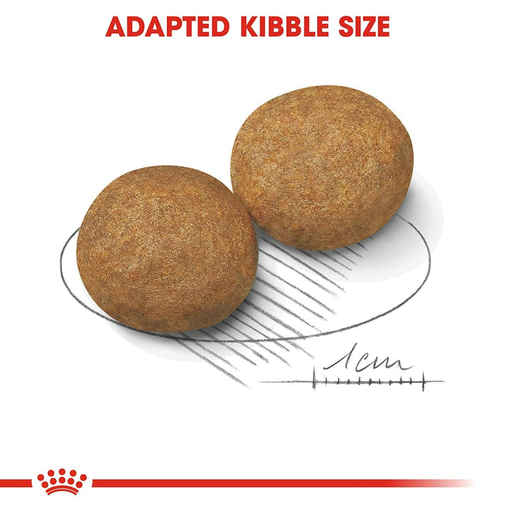 Royal Canin Medium Adult Meat Granule Dry Dog Food