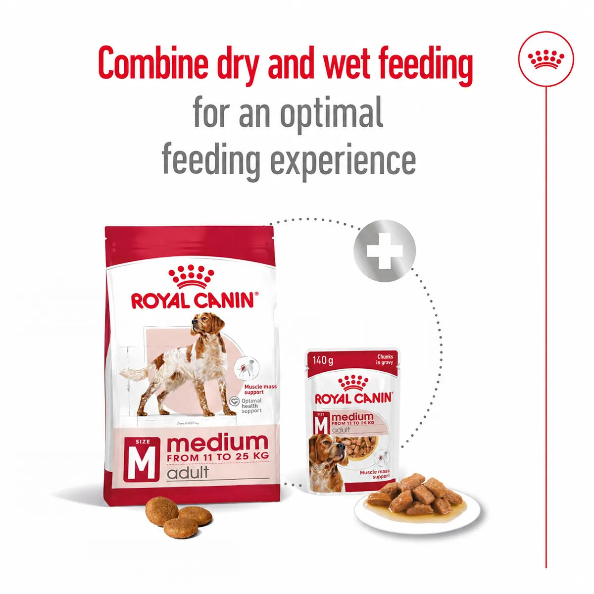 Royal Canin medium adult dry and wet dog food combination for optimal feeding from zigly