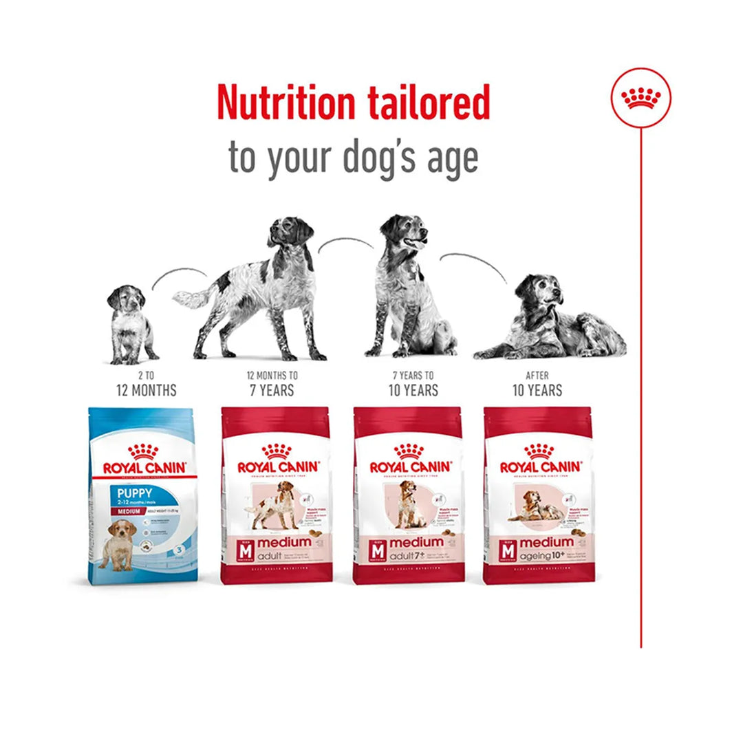 Royal Canin medium dog food range for different life stages available at zigly