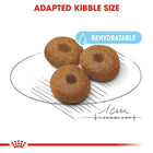 Royal Canin Maxi Starter Dry Dog Food - Zigly