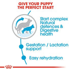 Royal Canin Maxi Starter Dry Dog Food - Zigly