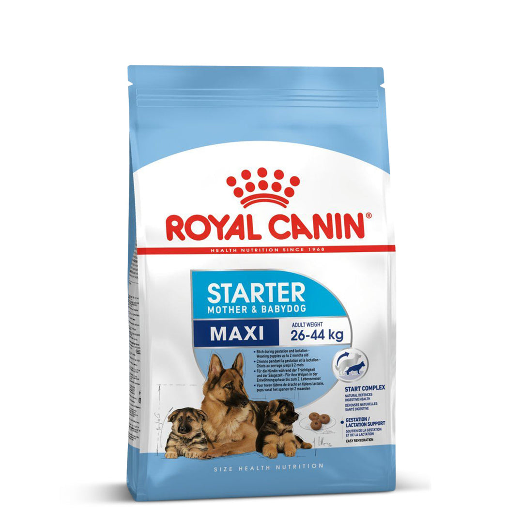 Royal Canin Maxi Starter Dry Dog Food