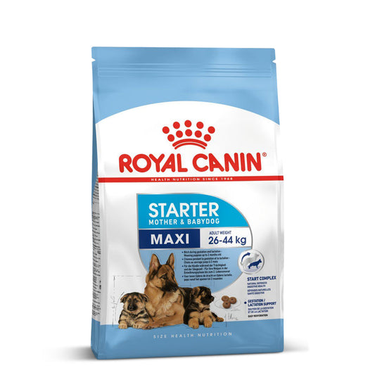 Royal Canin Maxi Starter Dry Dog Food