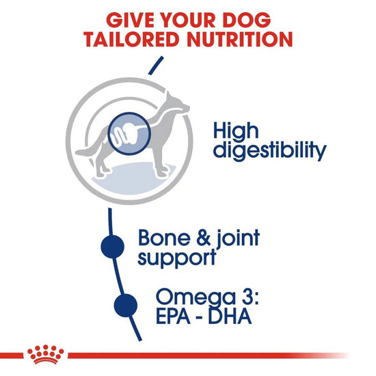 royal-canin-maxi-adult-dry-dog-food